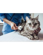 Katzenapotheke